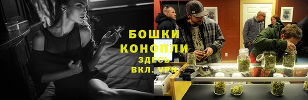 крисы Баксан