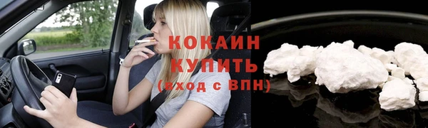 крисы Баксан