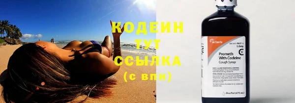 крисы Баксан