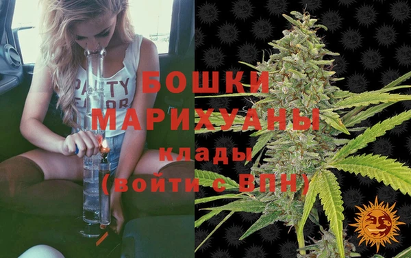 дмт Арсеньев
